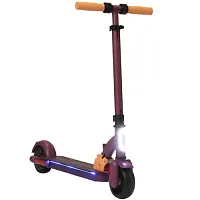 Электросамокат Accesstyle Panda 13S купить в Барнауле