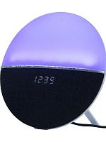 Колонка DENN DBS F005 купить в Барнауле